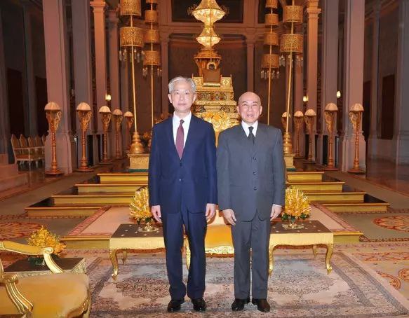 任驻柬埔寨大使汪文斌向柬国王西哈莫尼递交国书