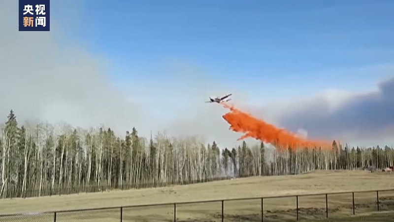 受山火影响 加拿大艾伯塔省十余处公园被关闭