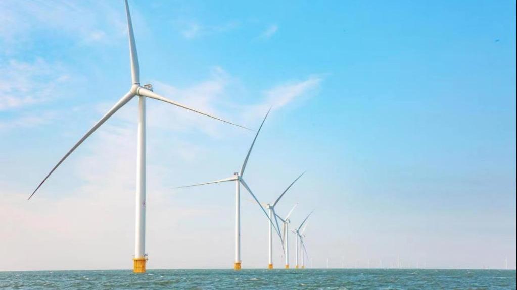 我国首个“海上风电+海洋牧场”全年上网电量将超10亿千瓦时